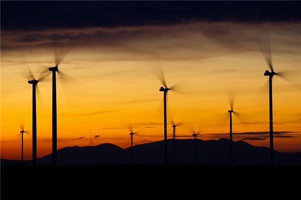 梦见风是什么意思 梦见风是什么意思