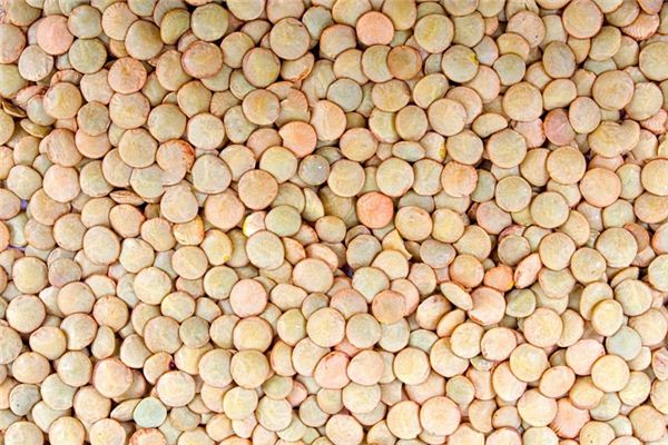 梦见小扁豆是什么意思 梦见小扁豆是什么意思