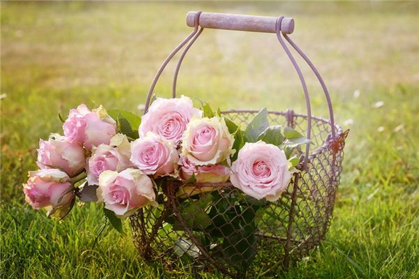 梦见玫瑰是什么意思 梦见玫瑰是什么意思