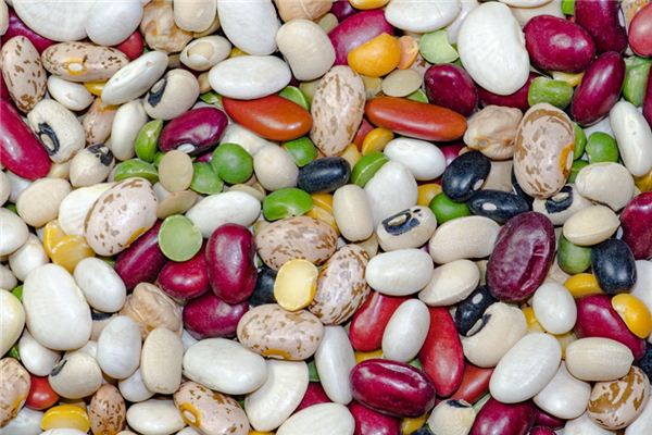 梦见芸豆是什么意思 梦见芸豆是什么意思