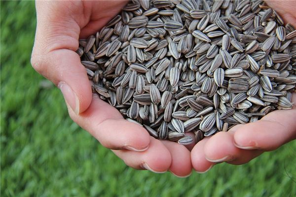 梦见瓜子是什么意思 梦见瓜子是什么意思