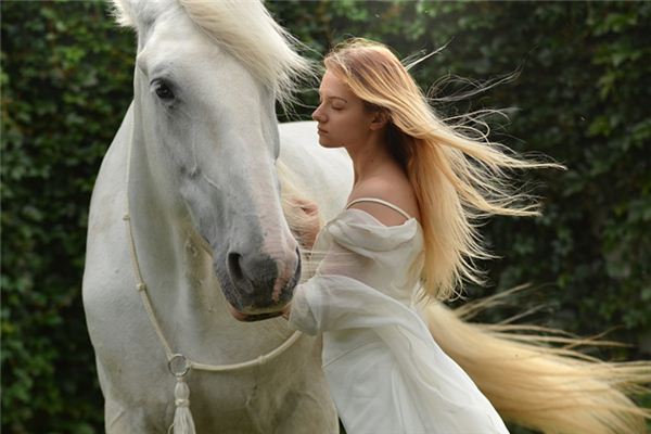 梦见给马梳毛是什么意思 梦见给马梳毛是什么意思