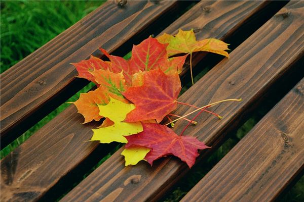 梦见扫落叶是什么意思 梦见扫落叶是什么意思