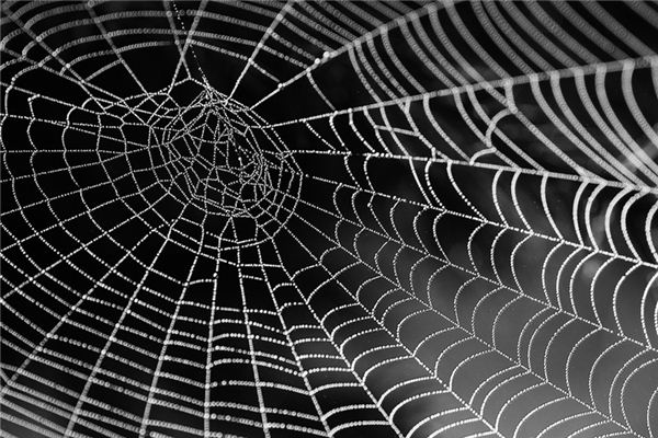 梦见天罗地网是什么意思 梦见天罗地网是什么意思