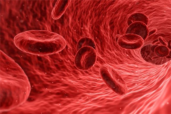 梦到流血 梦到流血