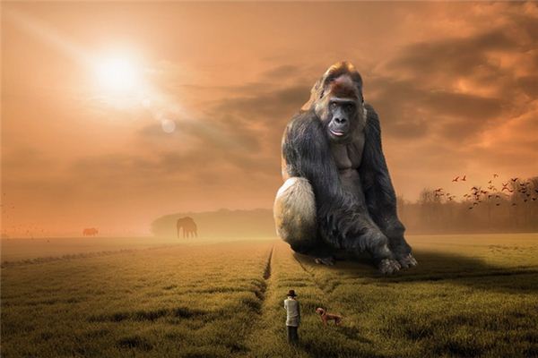 梦见猩猩是什么意思 梦见猩猩是什么意思