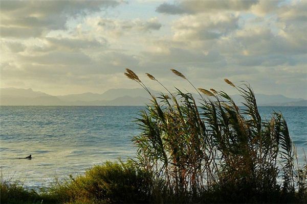 梦见狂风是什么意思 梦见狂风是什么意思