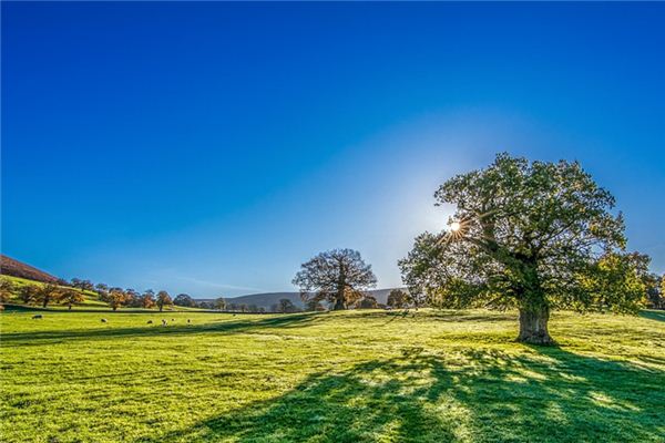 梦见晴朗是什么意思 梦见晴朗是什么意思