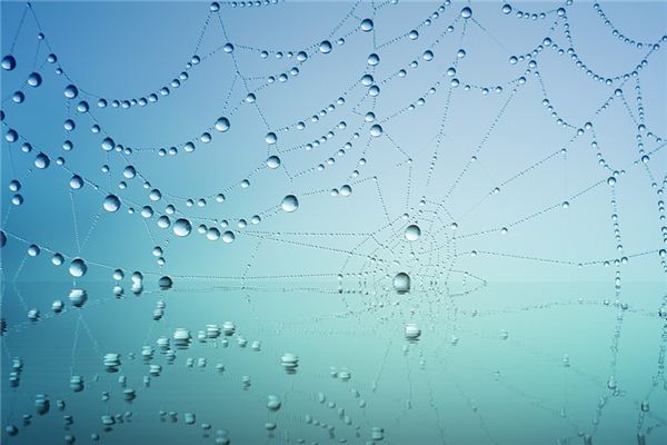 梦见露珠是什么意思 梦见露珠是什么意思