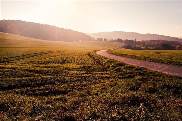 梦见陆地是什么意思 梦见陆地是什么意思